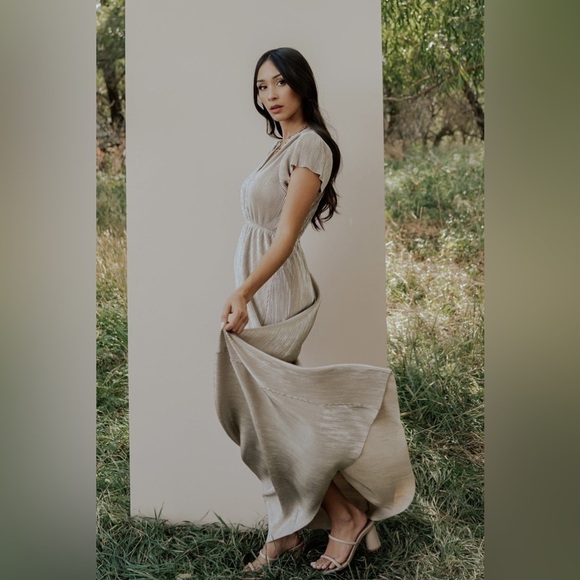 BALTIC BORN Athena Pleated Maxi Dress In Gold - Picture 10 of 12